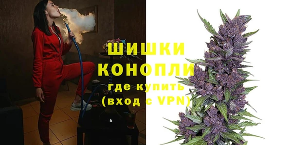 PSILOCYBIN Гусь-Хрустальный