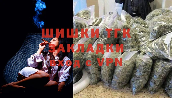 PSILOCYBIN Гусь-Хрустальный