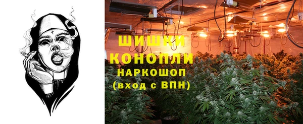 PSILOCYBIN Гусь-Хрустальный
