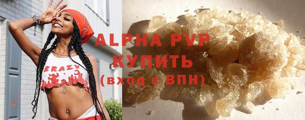 PSILOCYBIN Гусь-Хрустальный