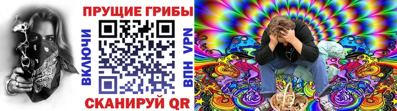 Купить закладки  Ардон  Псилоцибиновые грибы Psilocybe 