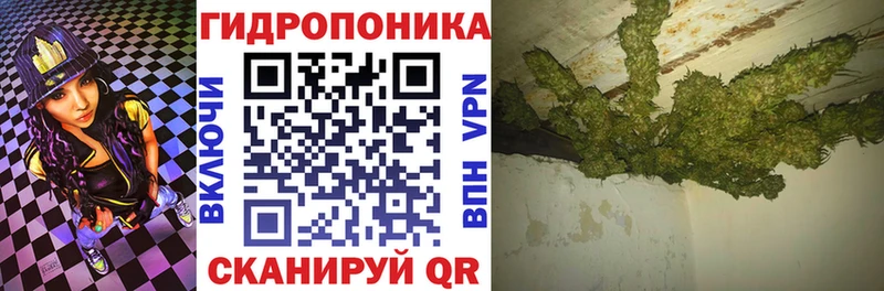 Купить где Ардон Канабис OG Kush